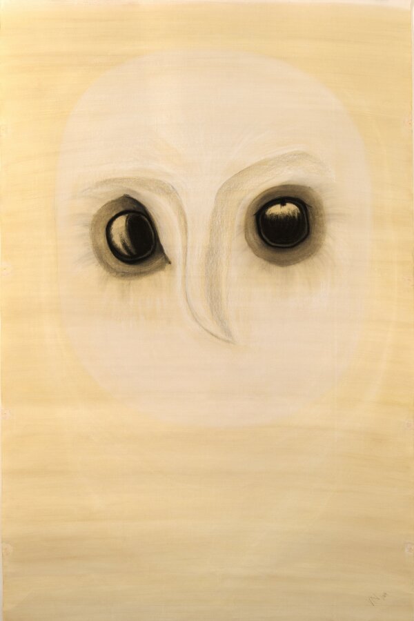 Vanda Němcová: Proměny šamana 2, 2004